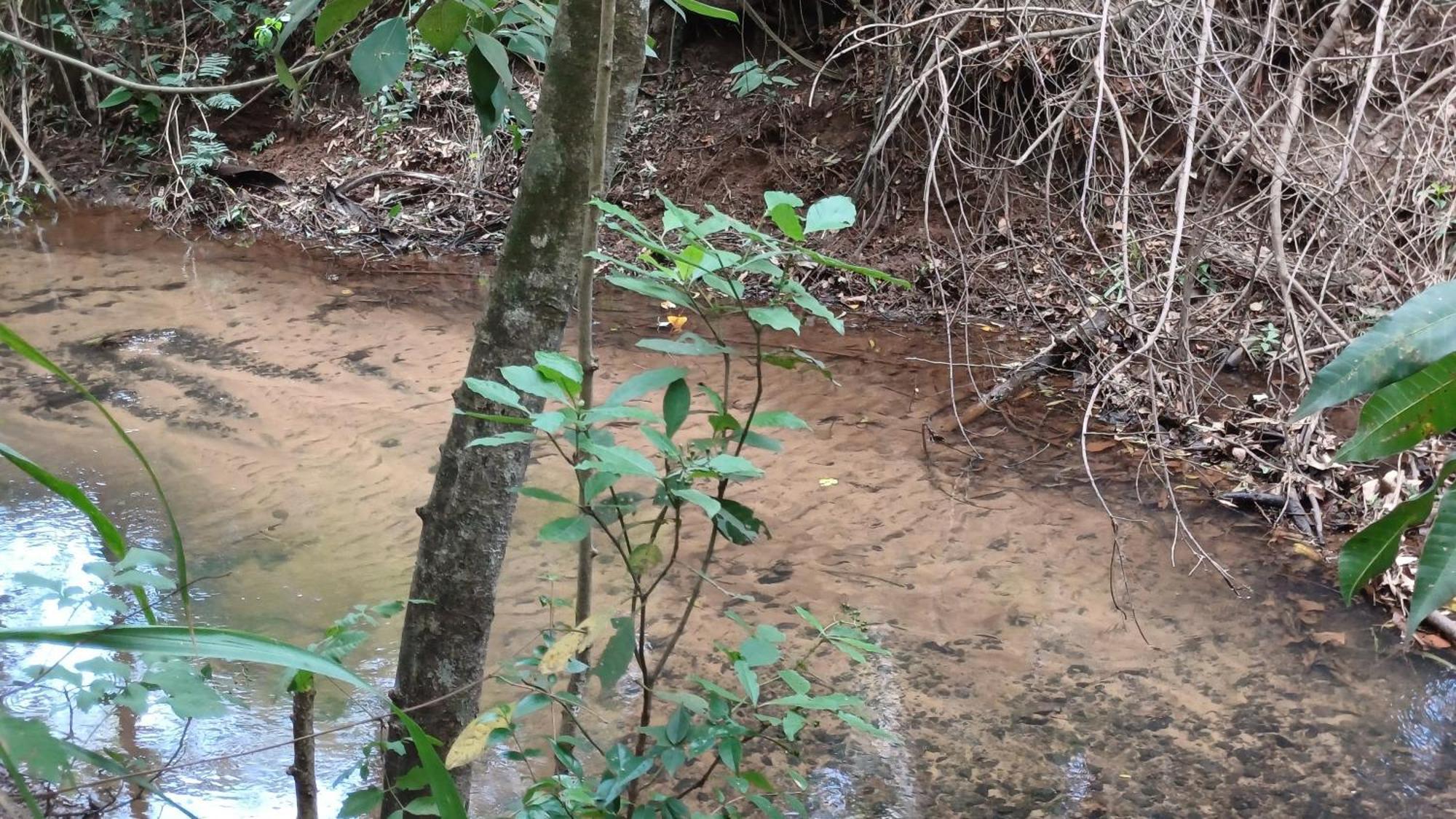 Sitio Encontro Das Aguas Brotas São Paulo Kültér fotó